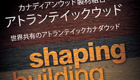 Shaping - Building